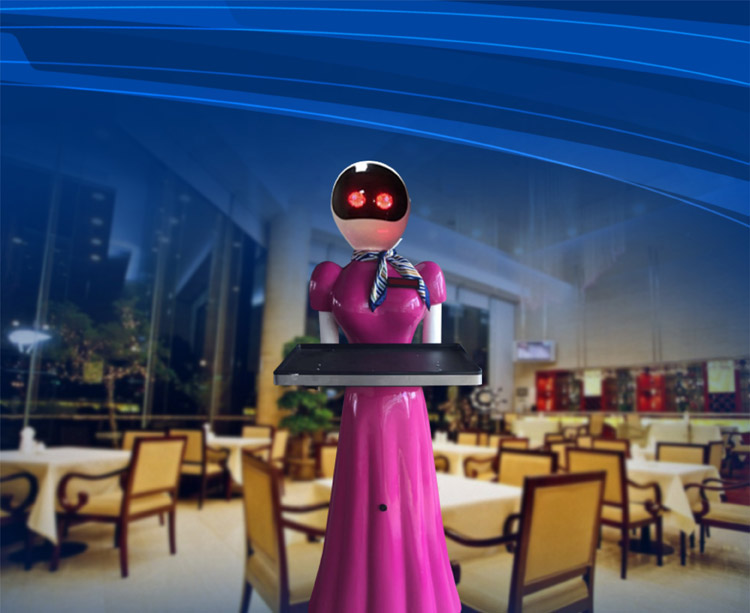 兴义市教育体验送餐机器人