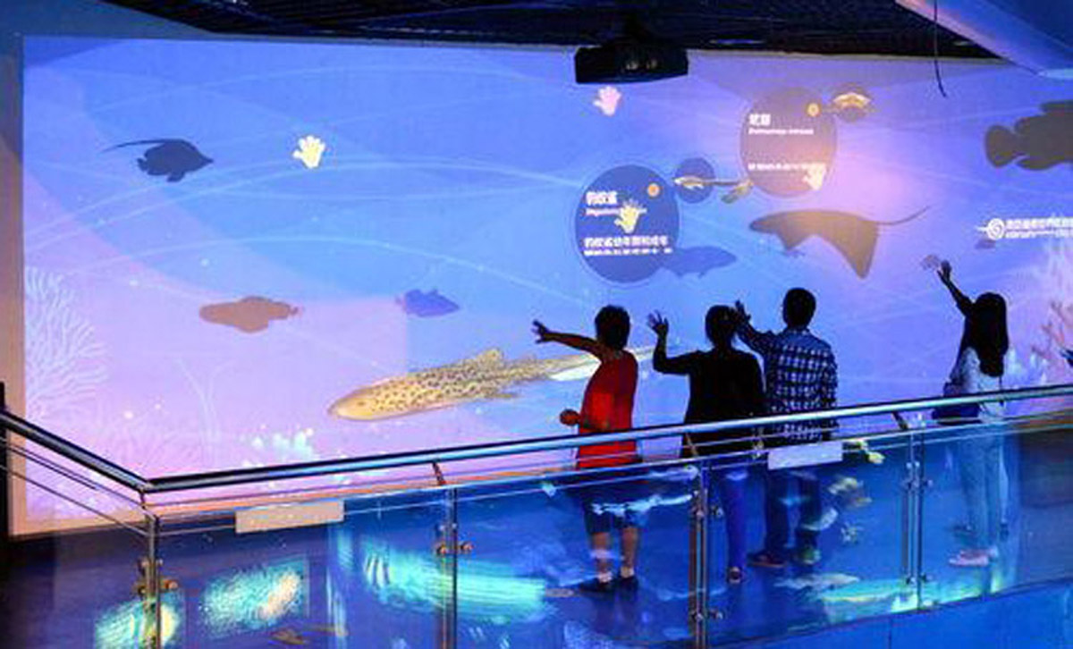 教育体验海底世界科普互动墙.jpg