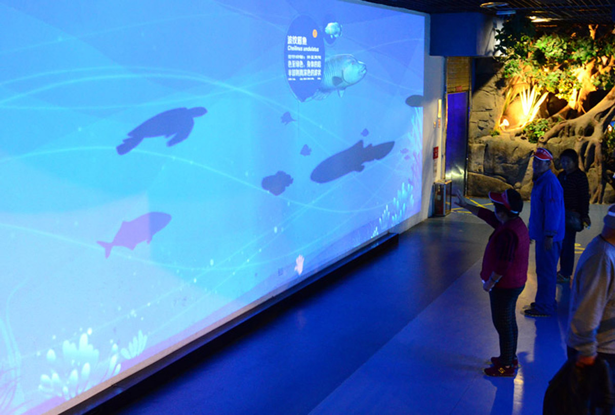 教育体验海底世界科普互动墙升级.jpg
